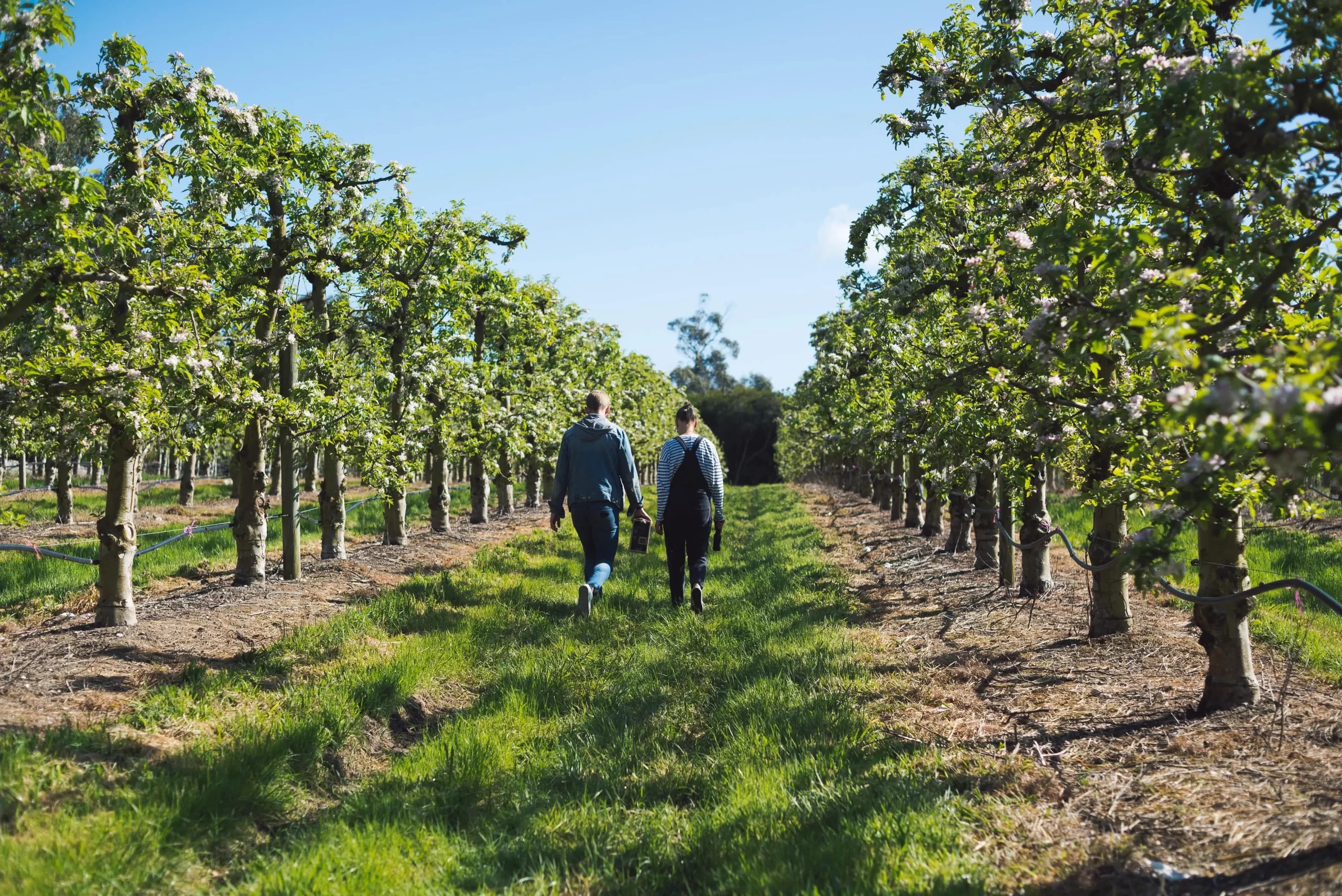 two people walking in a field